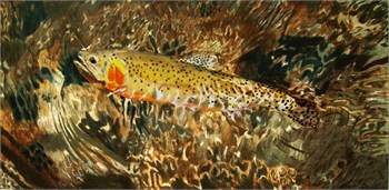 11-rio-cutthroat_painting_700